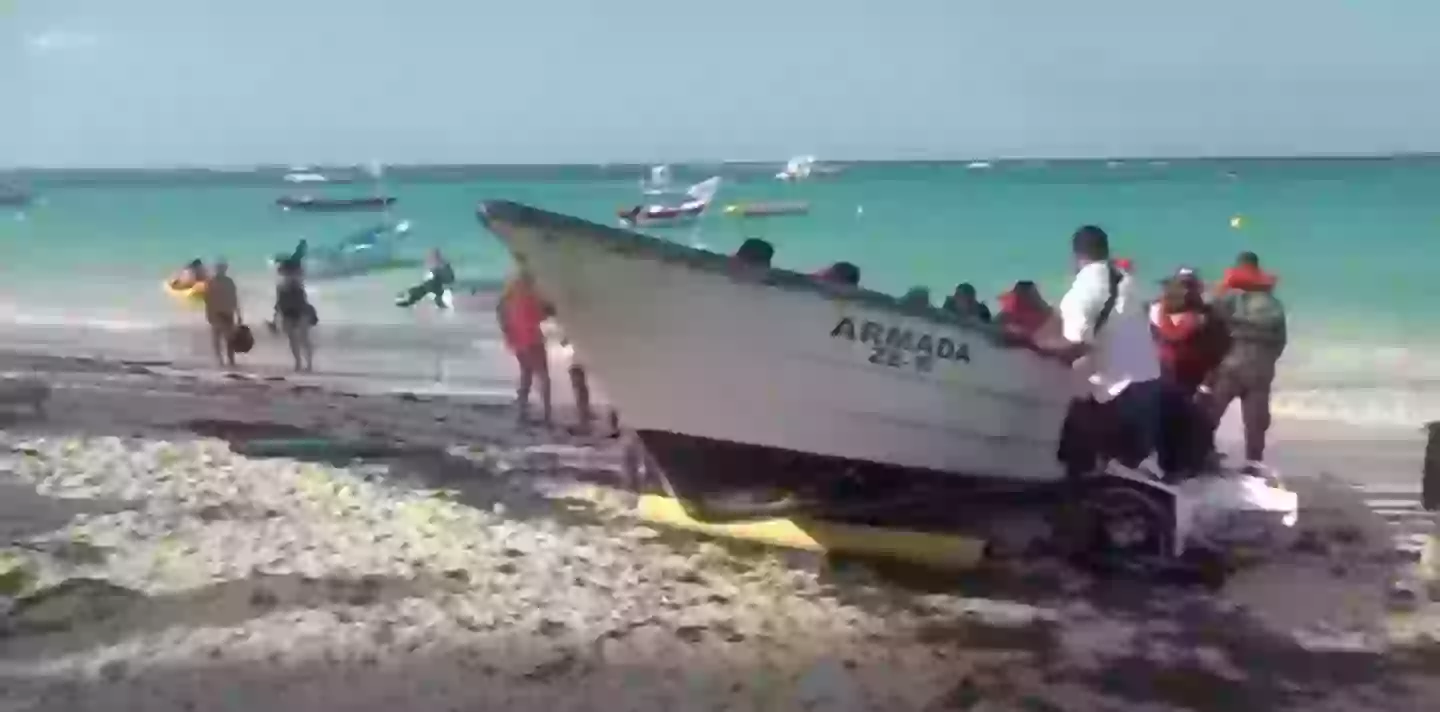 Riibe claimed he and Konanki made it to shore before she disappeared (FOX 5 Washington DC)