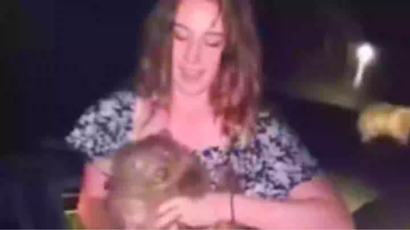 Sam Jones took a baby wombat from its mother in viral video (News 9)