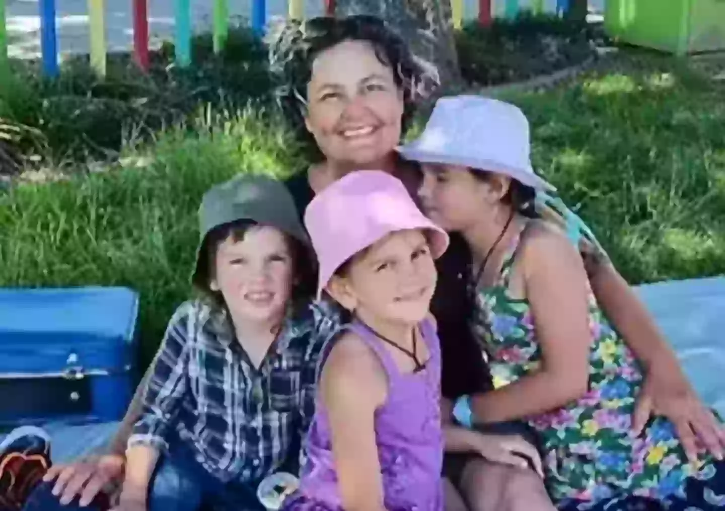 Cat with her three children (YouTube/New Zealand Herald)