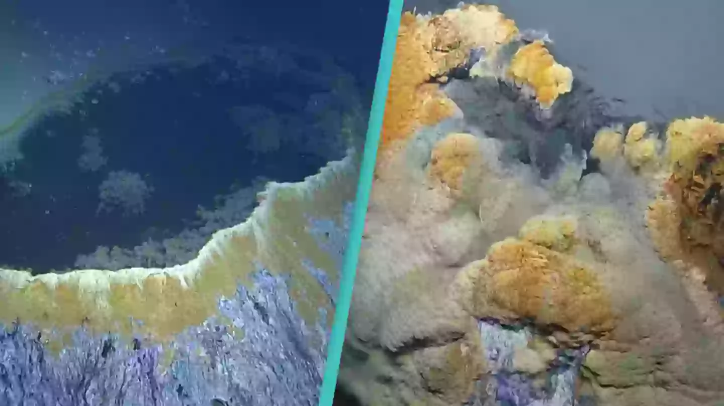 Ocean Exploration Trust/NOAA / YouTube/EVNautilus