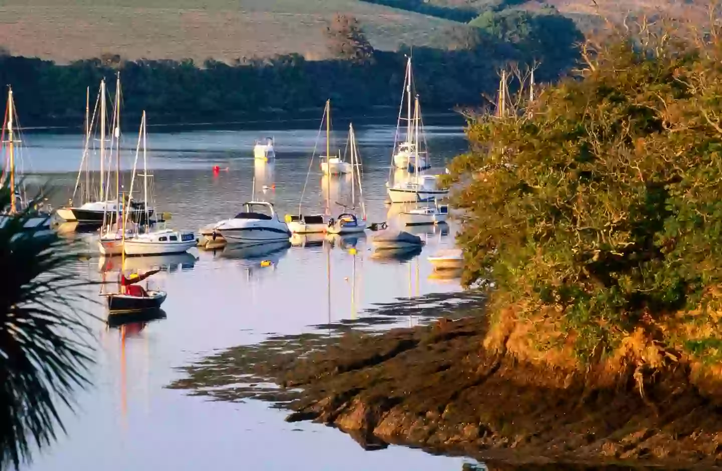 Vibrio vulnificus is found in salt water or brackish water (Getty Stock Photo)