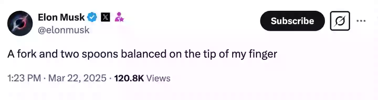 Musk explained his antics in a proud post on Twitter (X/@elonmusk)