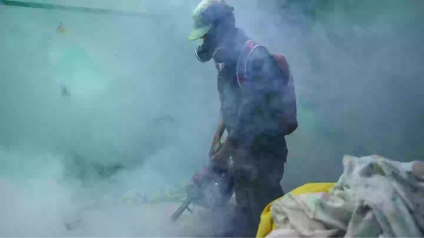 Expert reveals if another pandemic is likely as China take ‘COVID measures’ after 7,000 cases of chikungunya virus