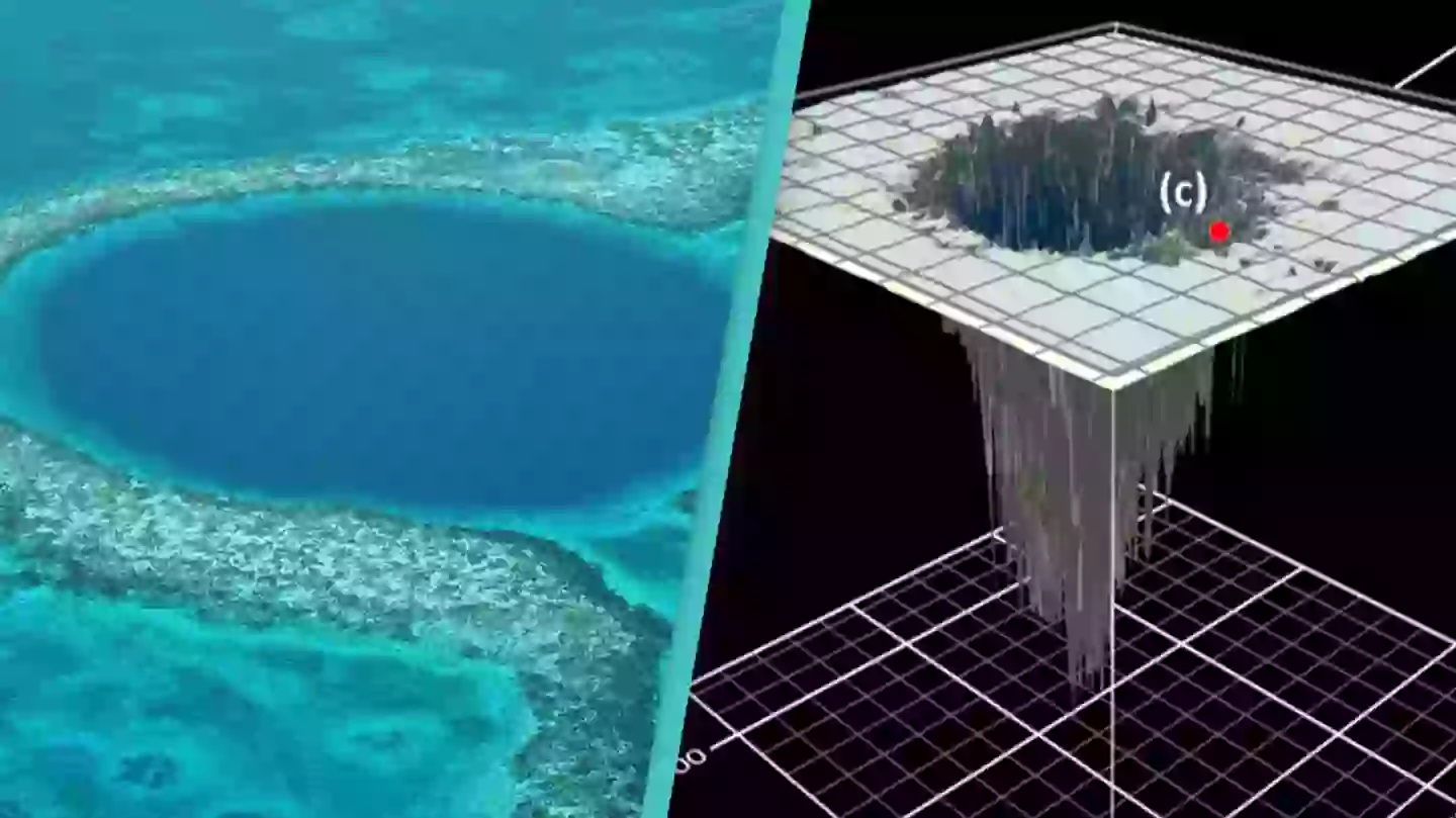 Siugyun Lee/Getty Images/Frontiers in Marine Science