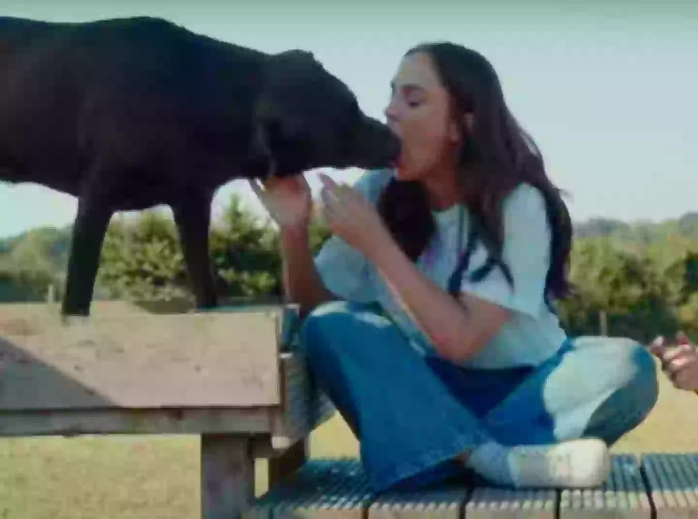 Probably the nastiest thing you will see today (Butternut Box/YouTube)