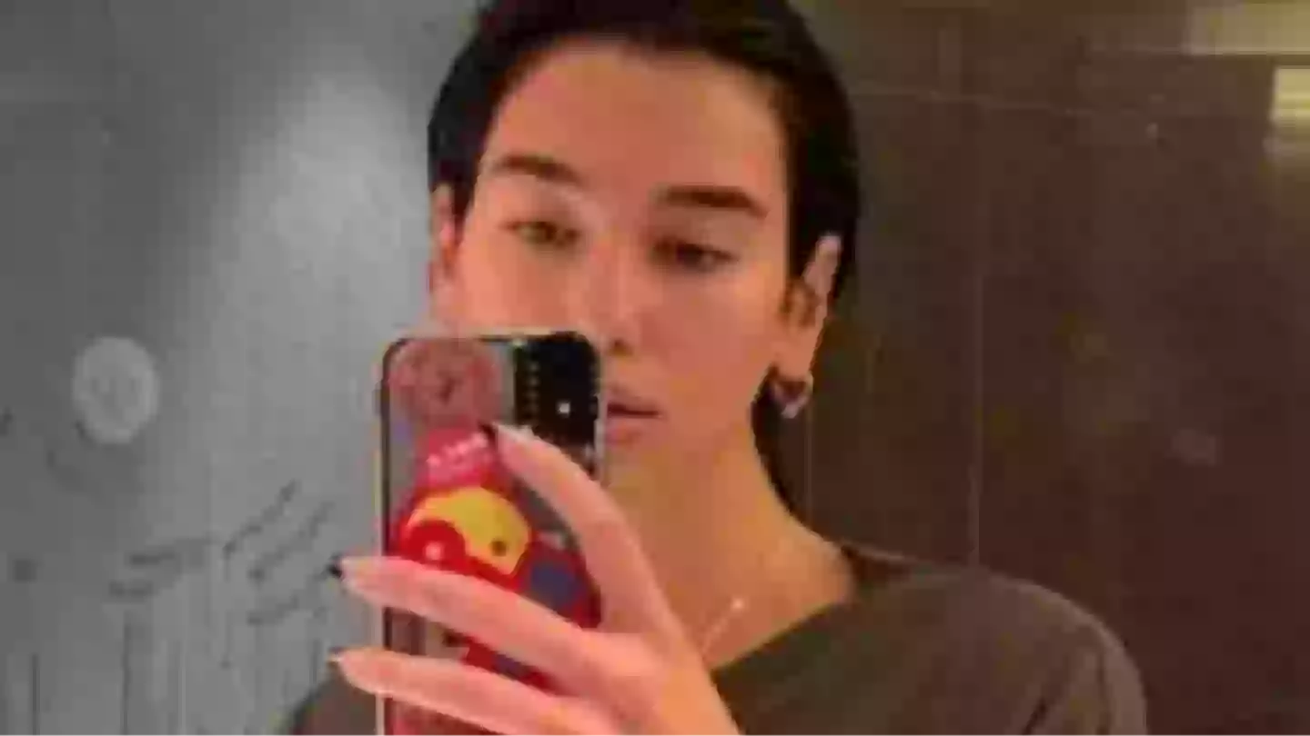 Dua Lipa left fans shocked after they spotted 'NSFW detail' in bathroom selfie