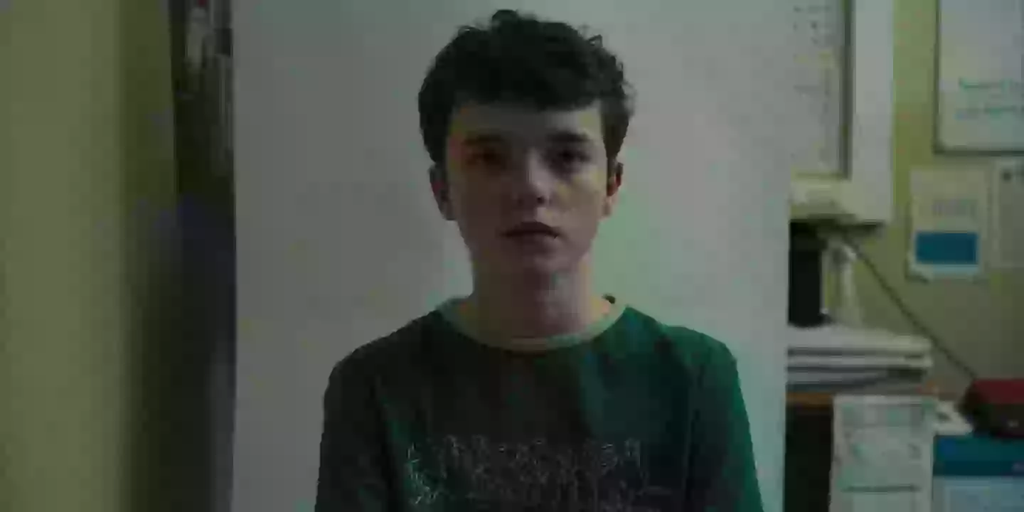 The show has 100 percent on Rotten Tomatoes (Netflix)