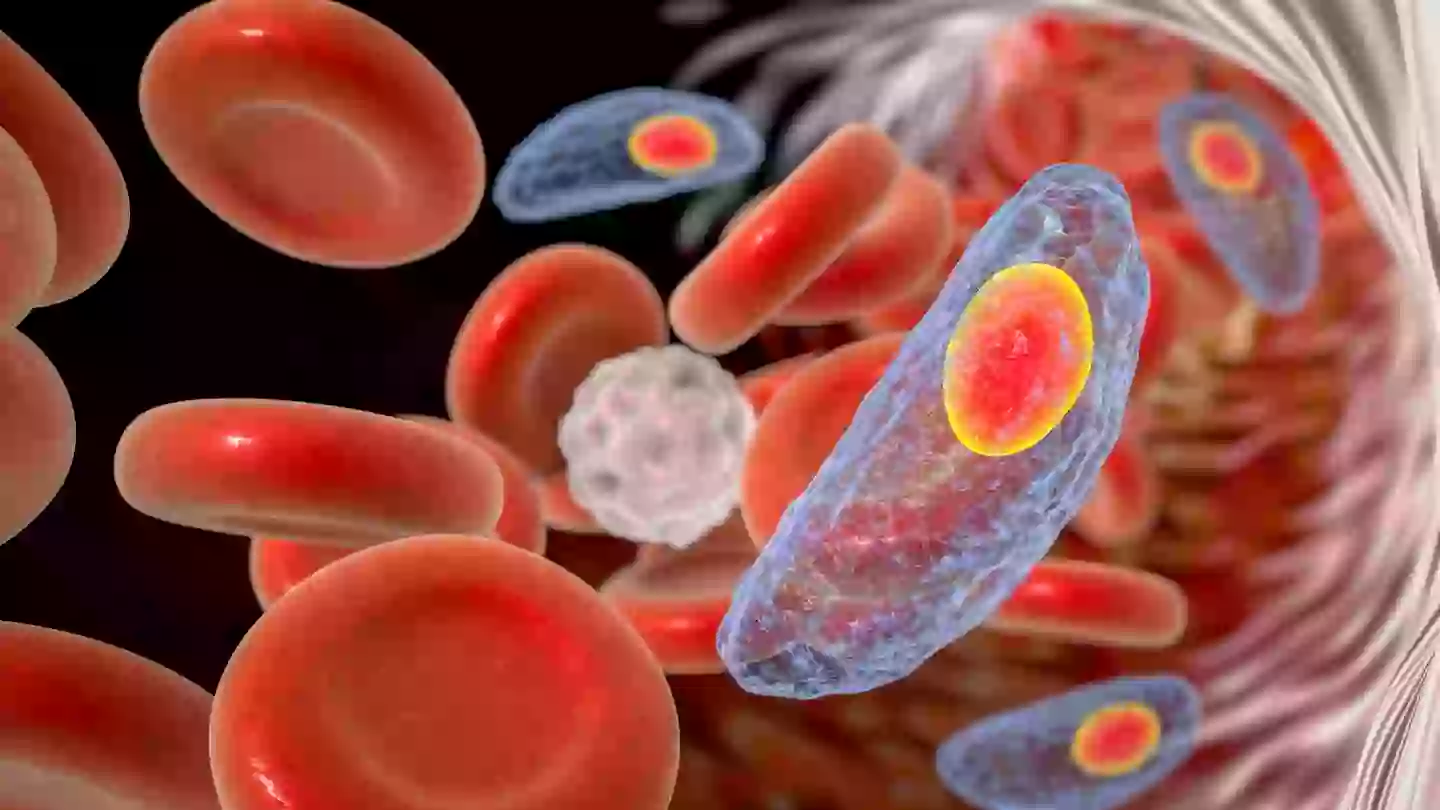 Over 100 million Americans could be infected (Getty Stock Photo)