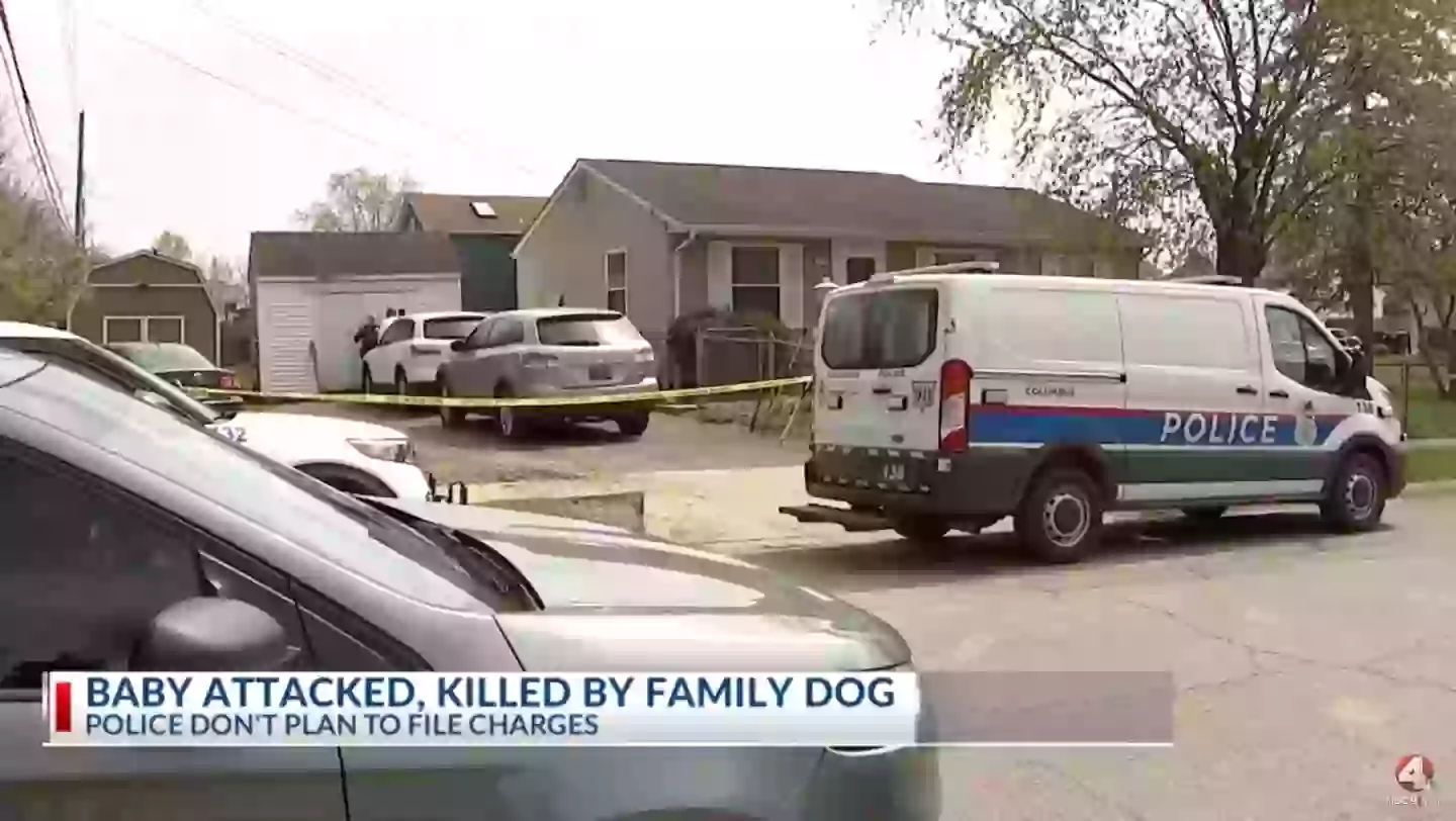The devastating ordeal took place at the family's home in Ohio (NBC4 Columbus)