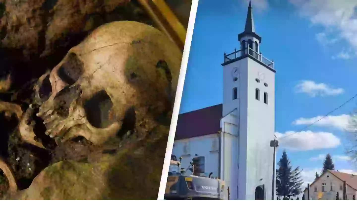 Grave containing 450 headless 'vampires' discovered during roadworks