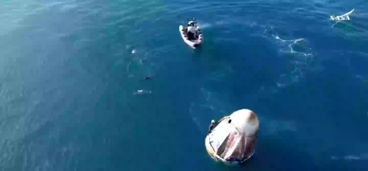 The pod of dolphins were curious about the vessel (NASA)