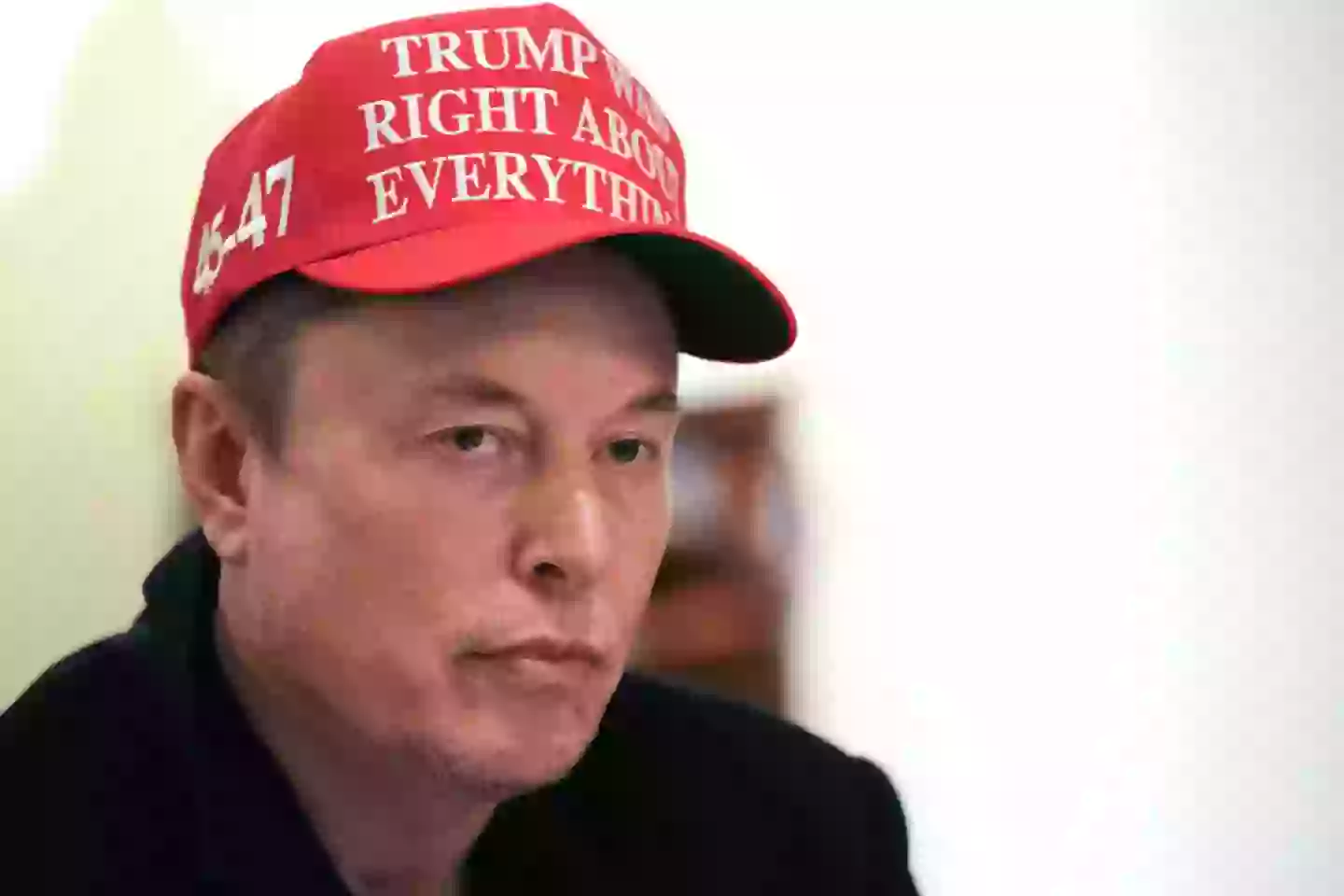 Musk was brought in by Donald Trump to help run DOGE (Win McNamee/Getty Images)