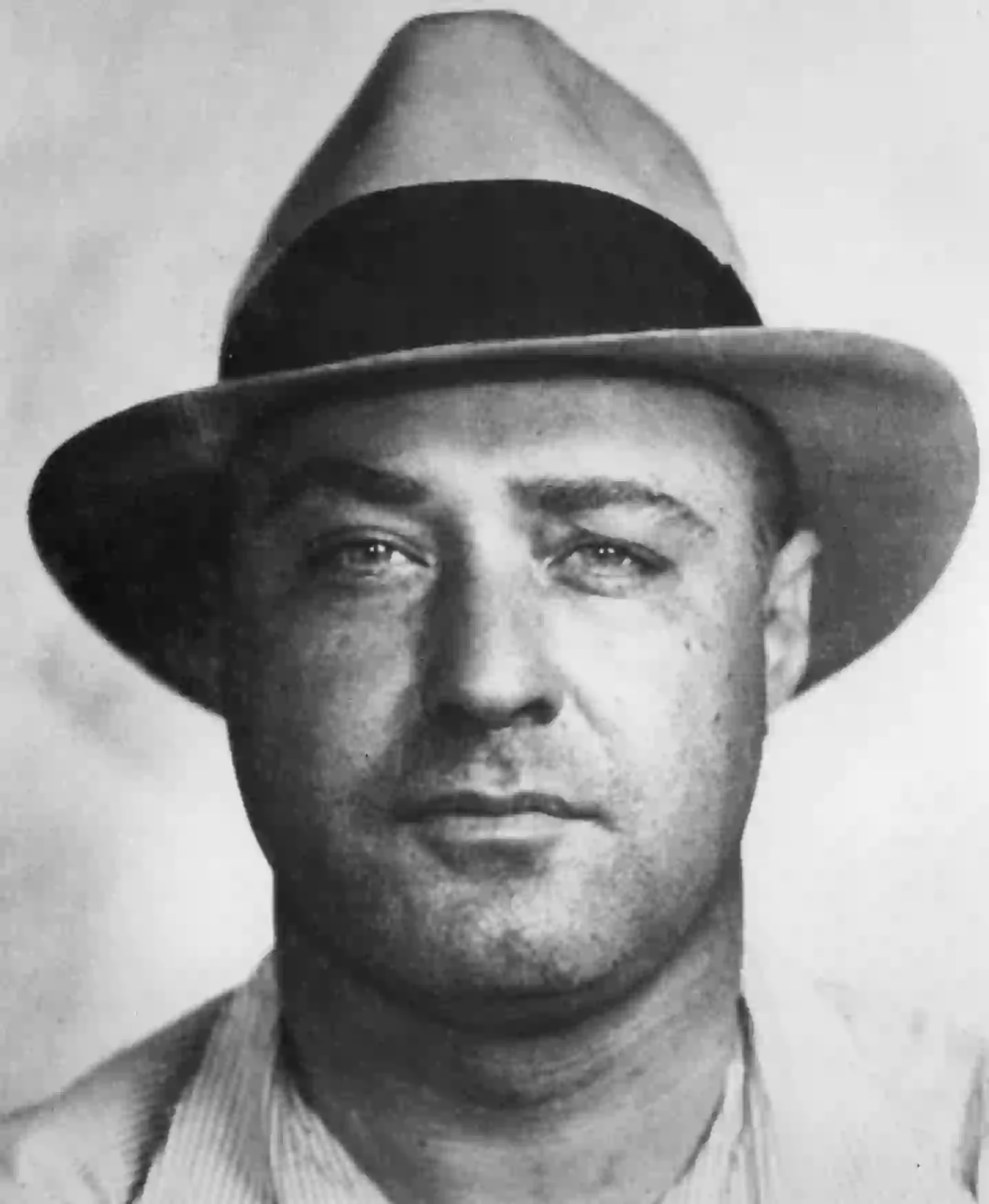 (adoc-photos/Corbis via Getty Images)