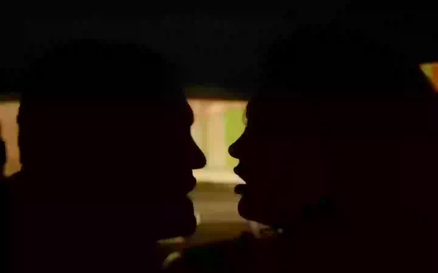 Gaspar Noé has argued his film is not porn.