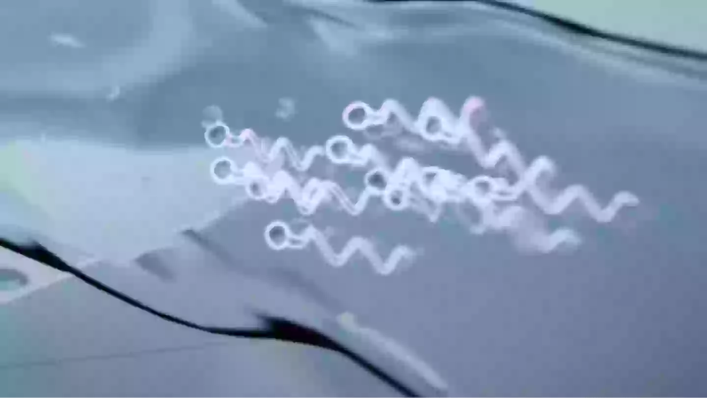 World-first sperm race is happening soon and the creators have revealed how it will work