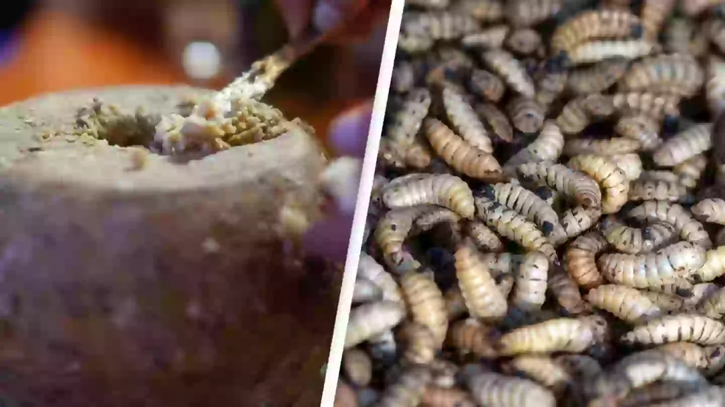 Getty/Robert Pavsic/Getty/Jaka Suryanta