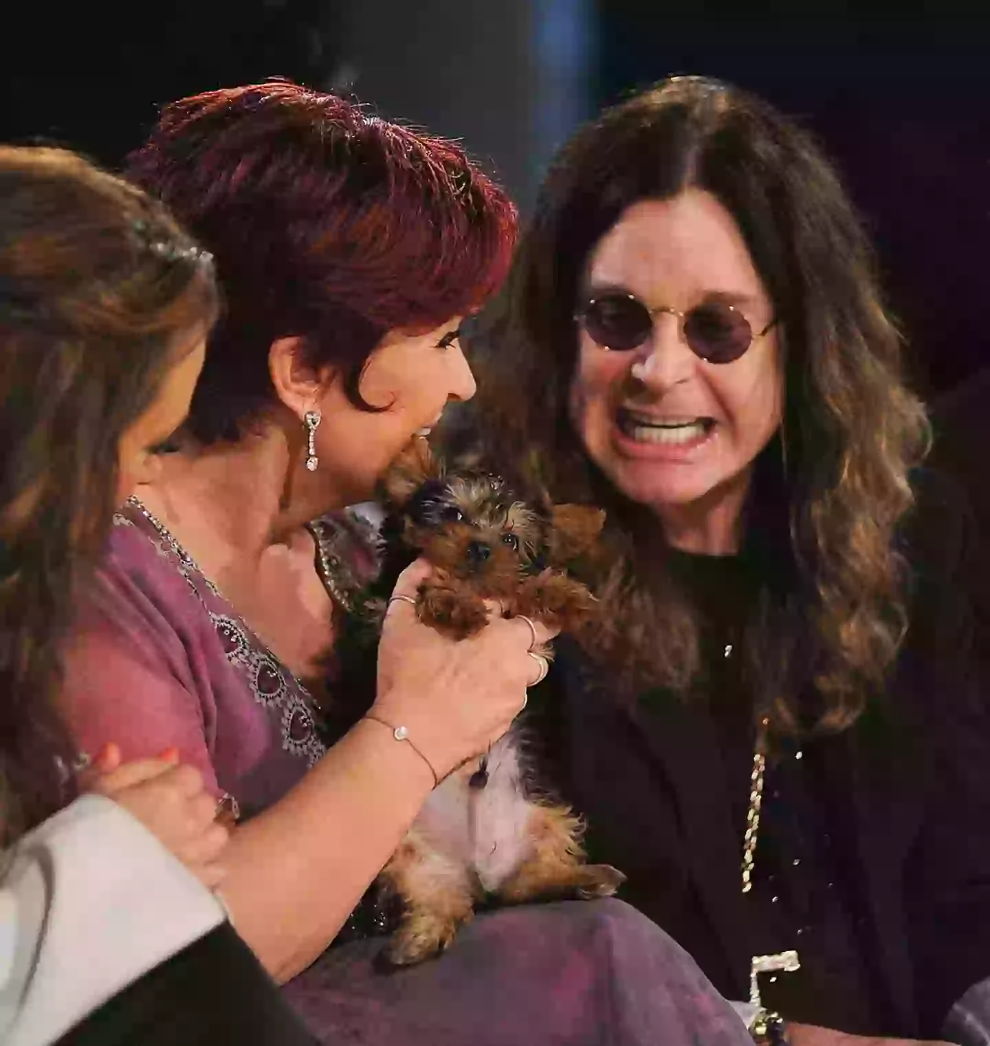 PETA paid tribute to Ozzy Osbourne (Michael Kovac/WireImage)
