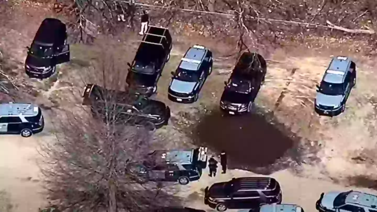 Human remains discovered near Taylor Swift's home spark more serial killer fears after 12 people found dead in area