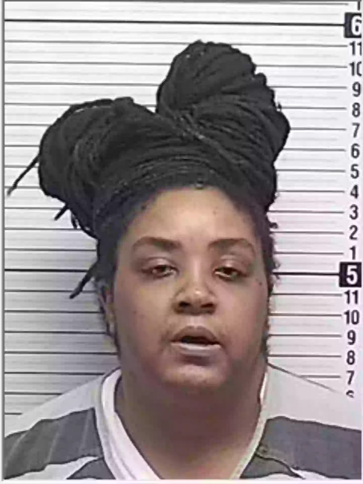 Octavia Wells was arrested and charged on December 31 (Bay County Sheriff's Office/Facebook)