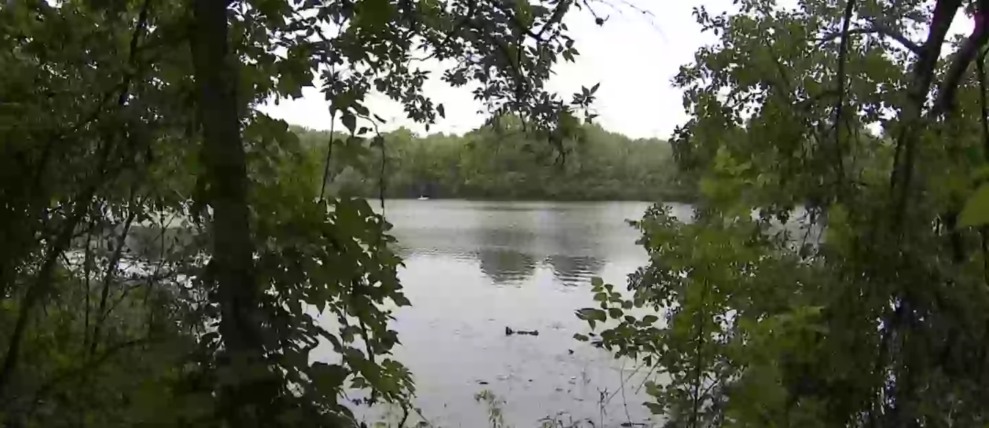 A body was reported to police on June 3 (Fox News)