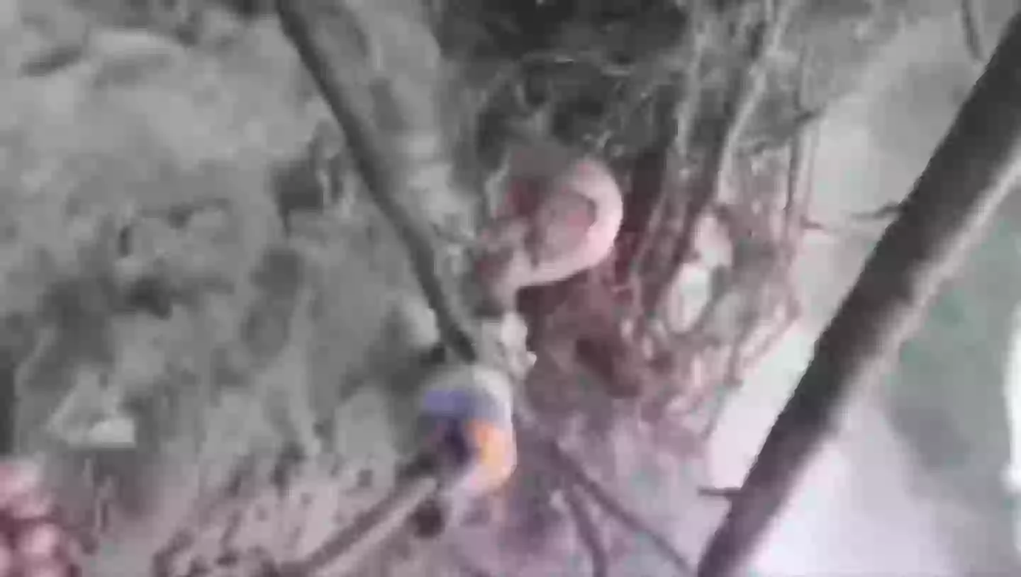 Needless to say, things took a turn for the worse when the water hit.