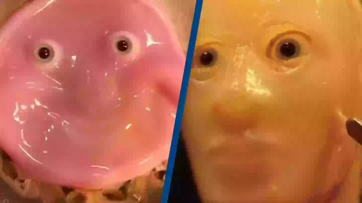 Takeuchi et al 2024/SWNS