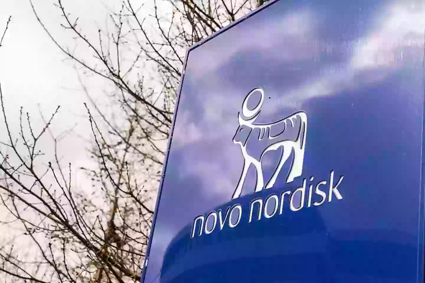 Novo Nordisk manufacture drugs like Ozempic and Wegovy (Kristian Tuxen Ladegaard Berg/SOPA Images/LightRocket via Getty Images)