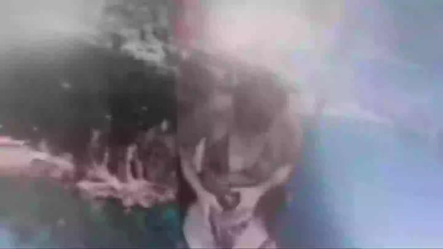 She could be seen frantically unbuckling her harness while being carried 50 meters in the air (NewsX)