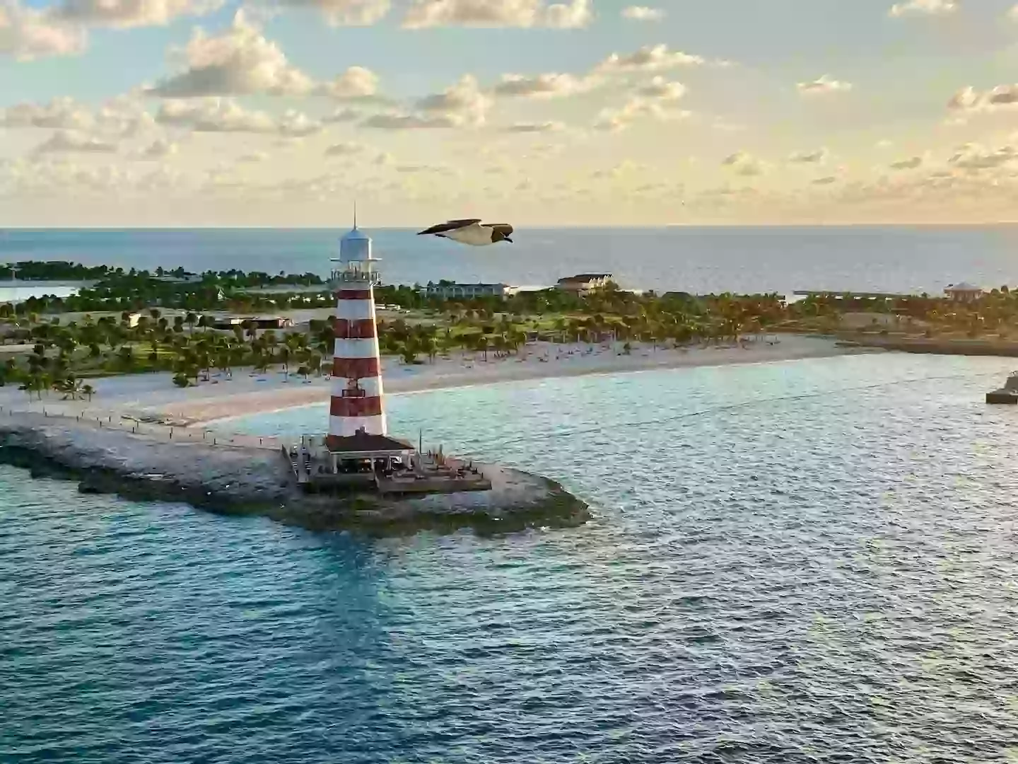 The cruise was returning from the Bahamas when the incident occurred (Sanniely/Getty Images)