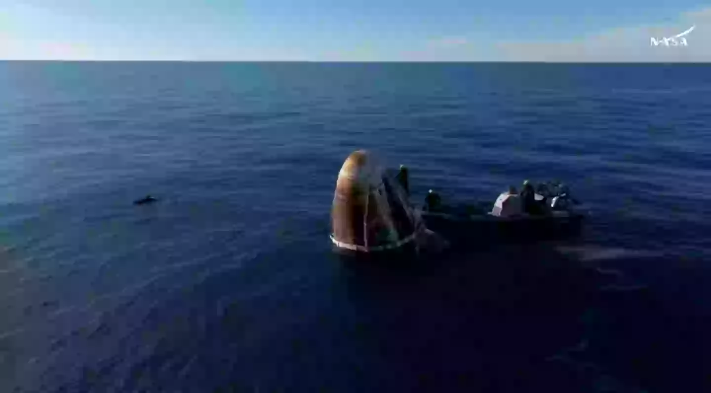 A pod of dolphins enjoyed the moment (NASA)