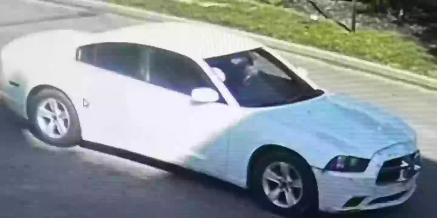 The suspect fled the scene in a white car (WXYZ-TV Detroit | Channel 7)