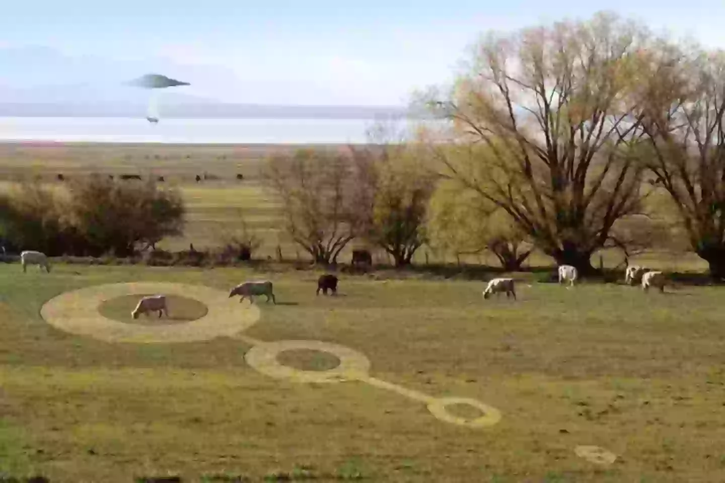 Cattle rustling and crop circles in the US? Nah, flying saucers were all about Italy.