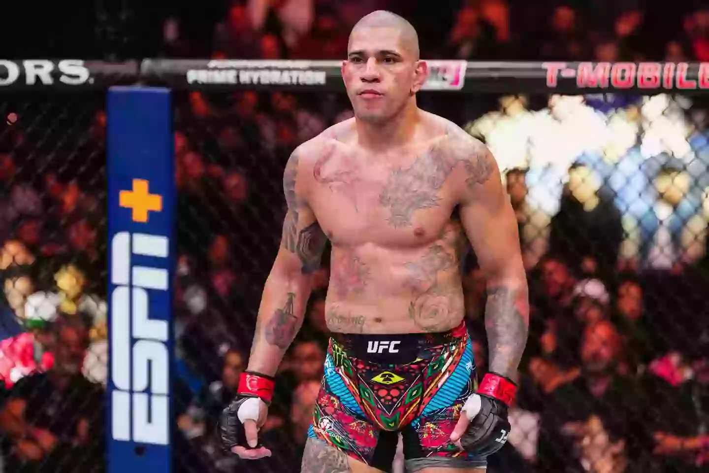 Alex Pereira is one of the biggest stars in the UFC even though he doesn't speak English. Image: Getty