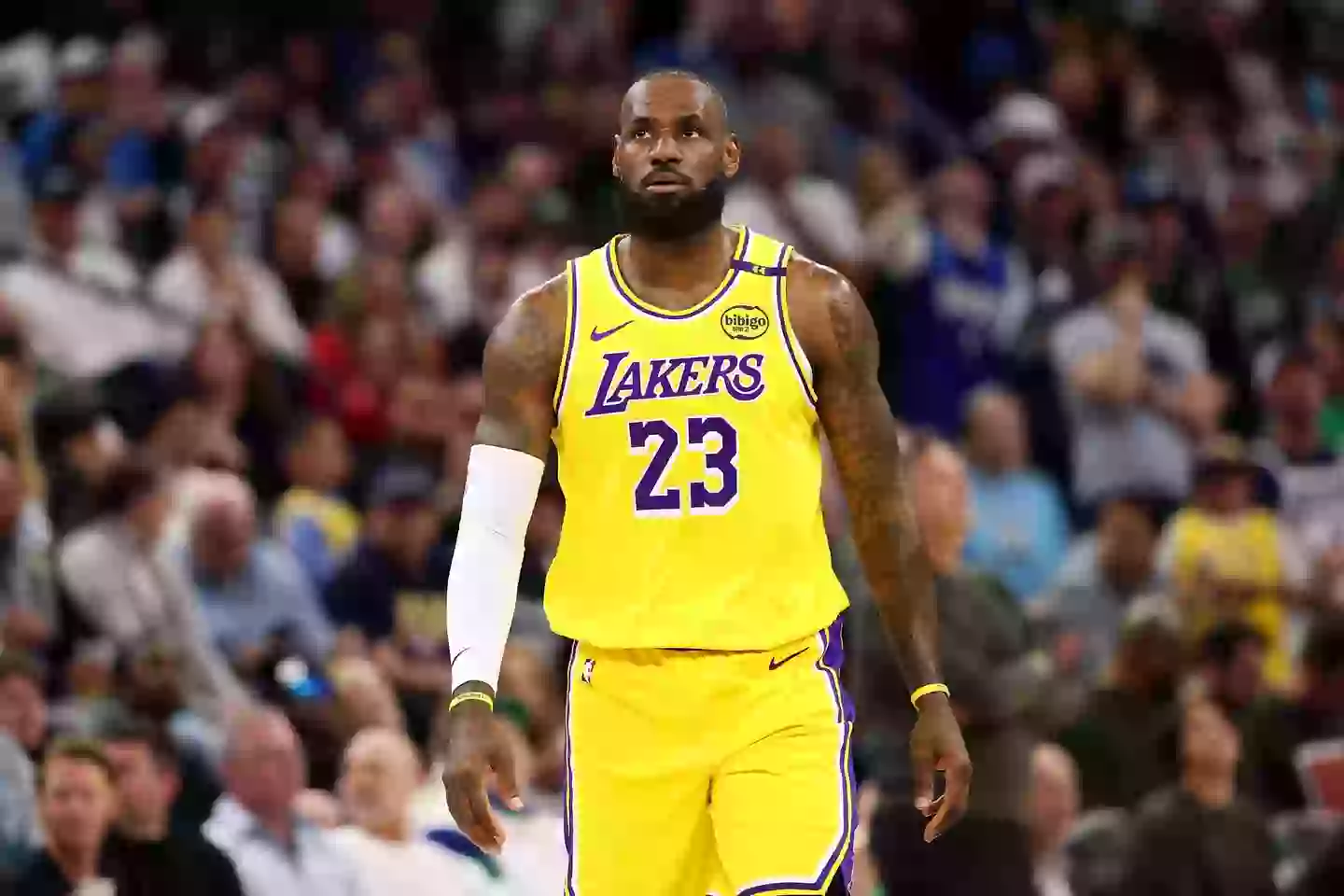 LeBron James (Image: David Berding / Contributor via Getty)