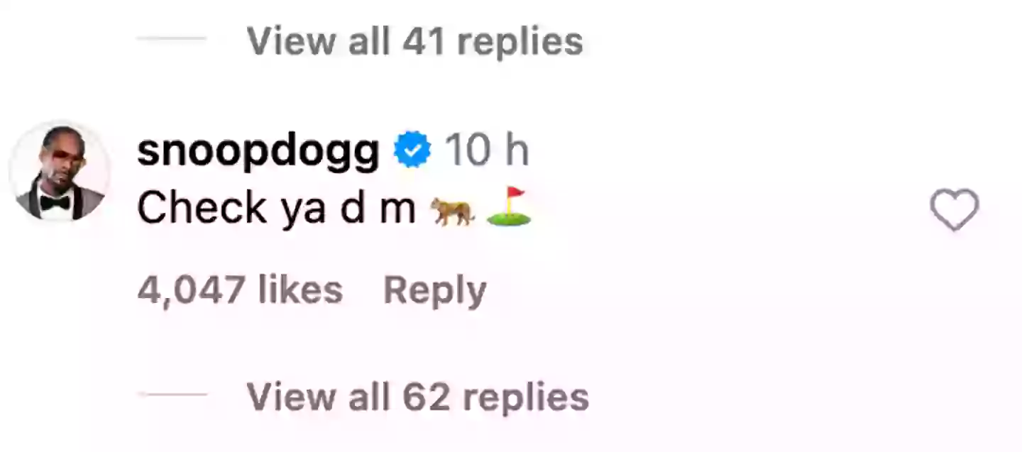 Snoop Dogg shocked fans with his random response to Tiger Woods. Image: Instagram/@tigerwoods