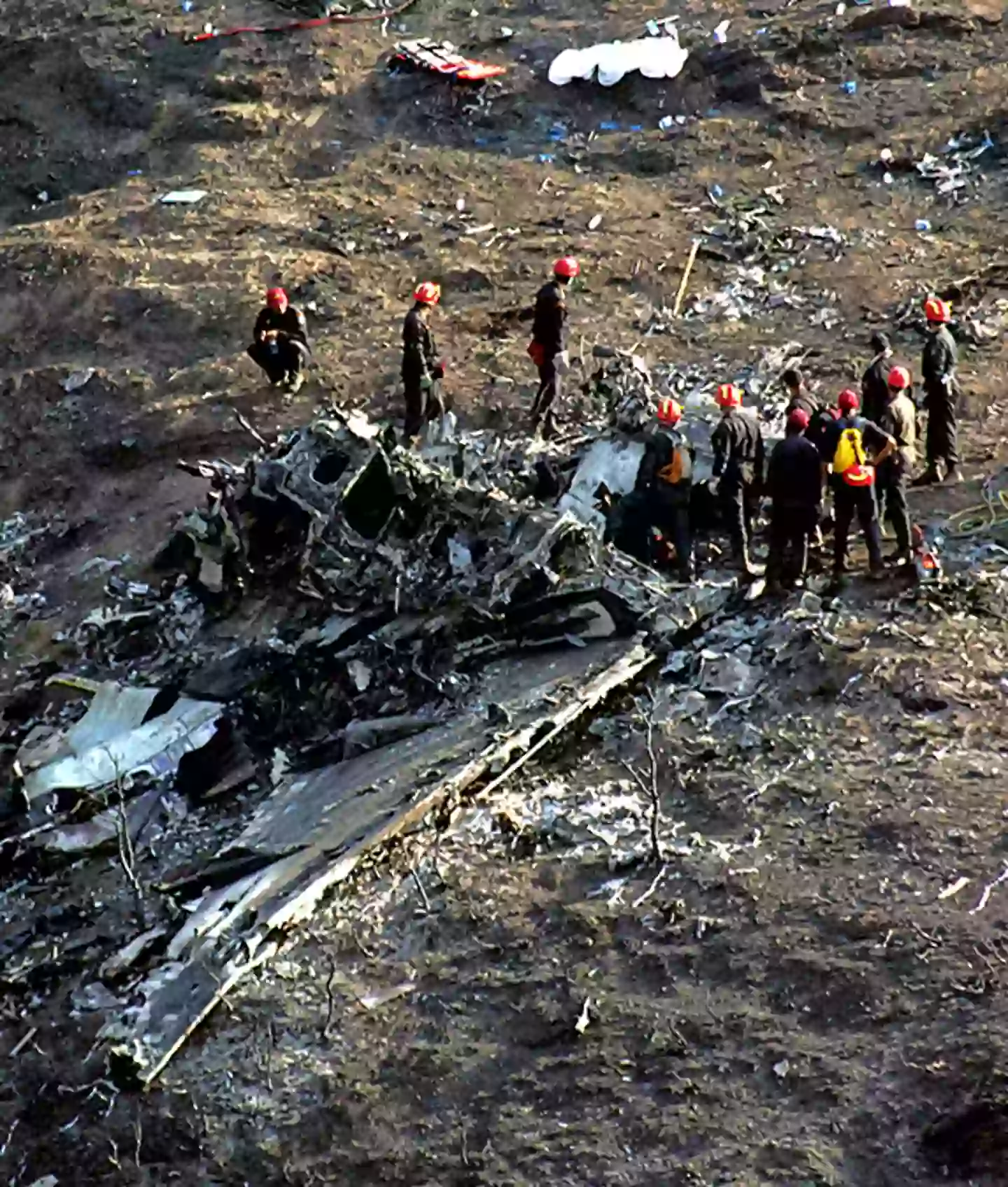 Milos Bicanski / Stringer / Getty