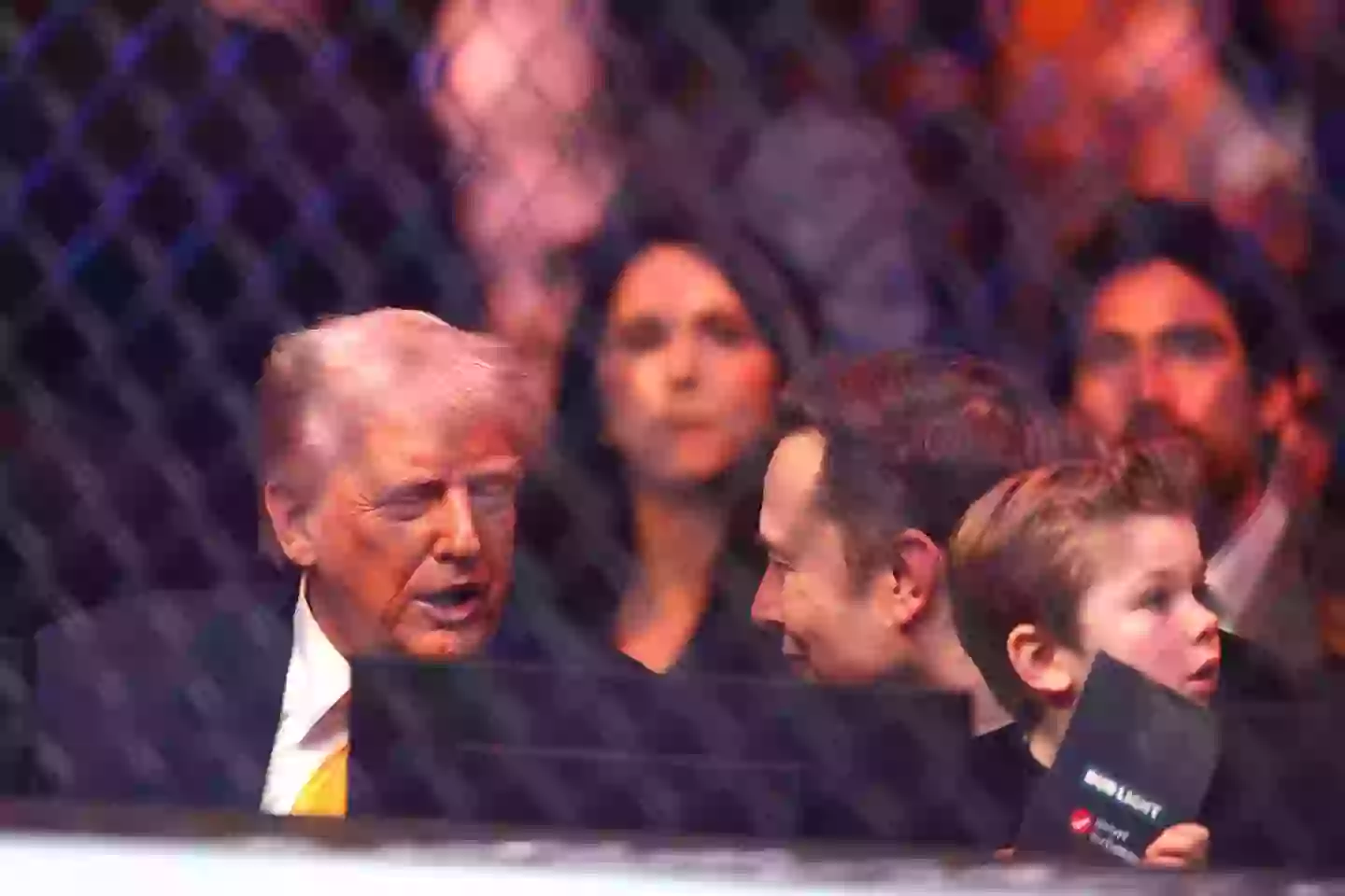 Musk apparently thinks that Trump is an 'idiot' according to one former White House official (Megan Briggs/Getty Images)