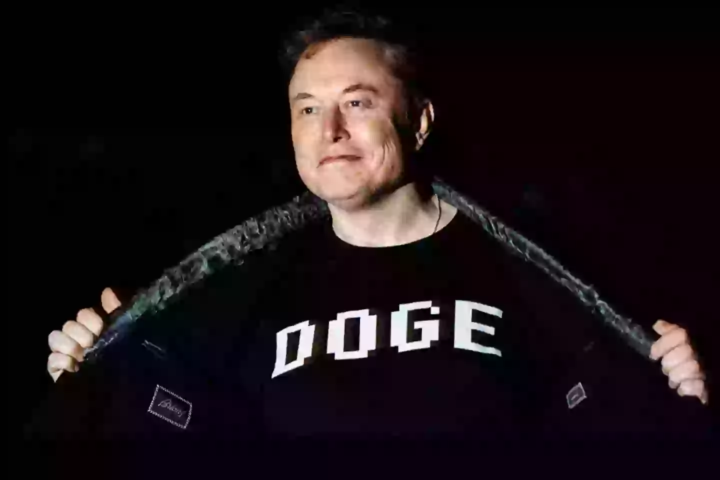 Elon Musk is the unelected head of DOGE (Samuel Corum/Getty Images)