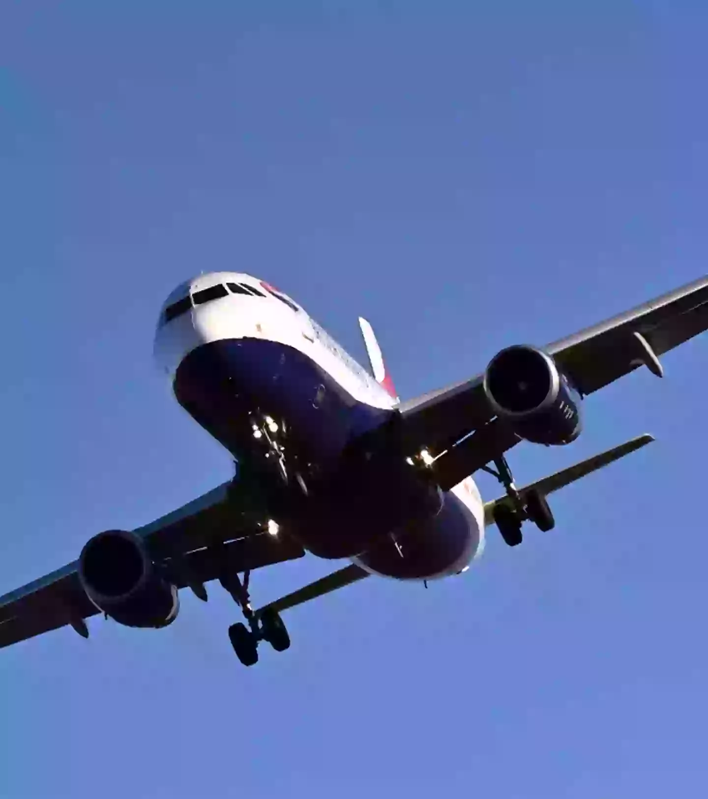 Reddit users were horrified (Ken Jack/Contributor/Getty)