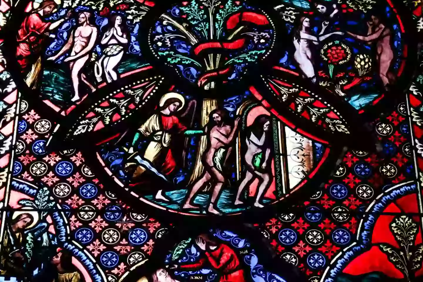 The story of Adam and Eve might just be more realistic than previously thought (Romain Costaseca/Hans Lucas/AFP via Getty Images)