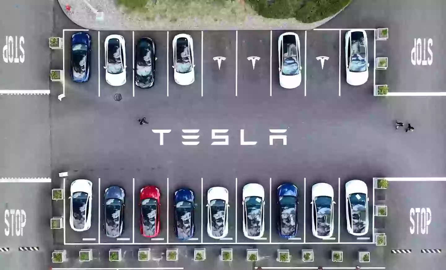 The government had a plan laid out to buy armored Teslas (Justin Sullivan/Getty Images)