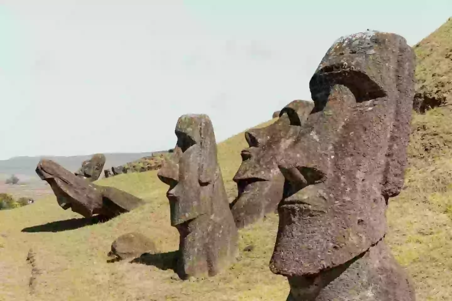Scientists warn that Easter Island's iconic statues could be underwater in the coming years (Fabien Pallueau/NurPhoto via Getty Images)