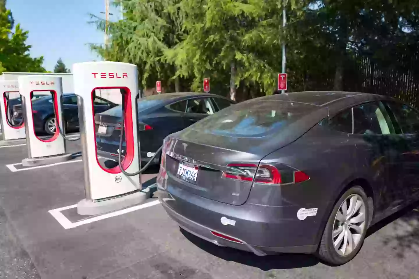 Zhang Yazhou maintains that Tesla is at fault (Smith Collection/Gado / Contributor via Getty)