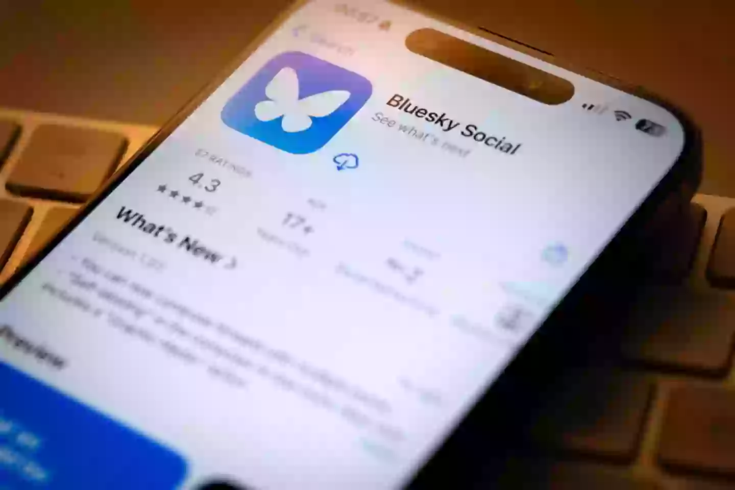 Bluesky appears to have stuck the landing as 'the' Twitter replacement (Jaap Arriens/NurPhoto via Getty Images)