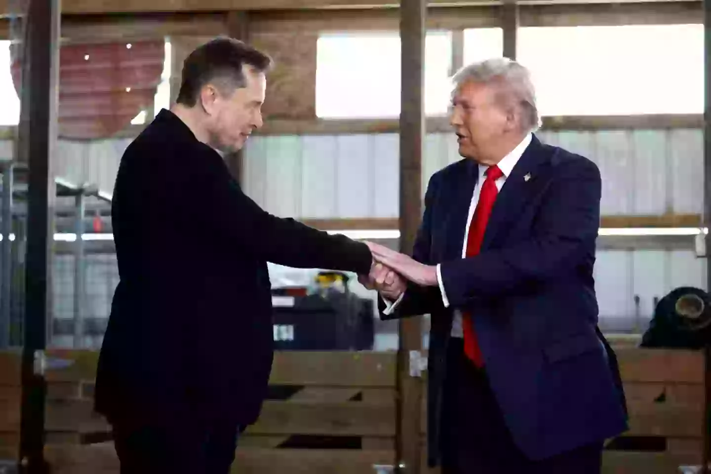 Musk is offering money to people who sign a petition that targets swing states (Anna Moneymaker/Getty Images)