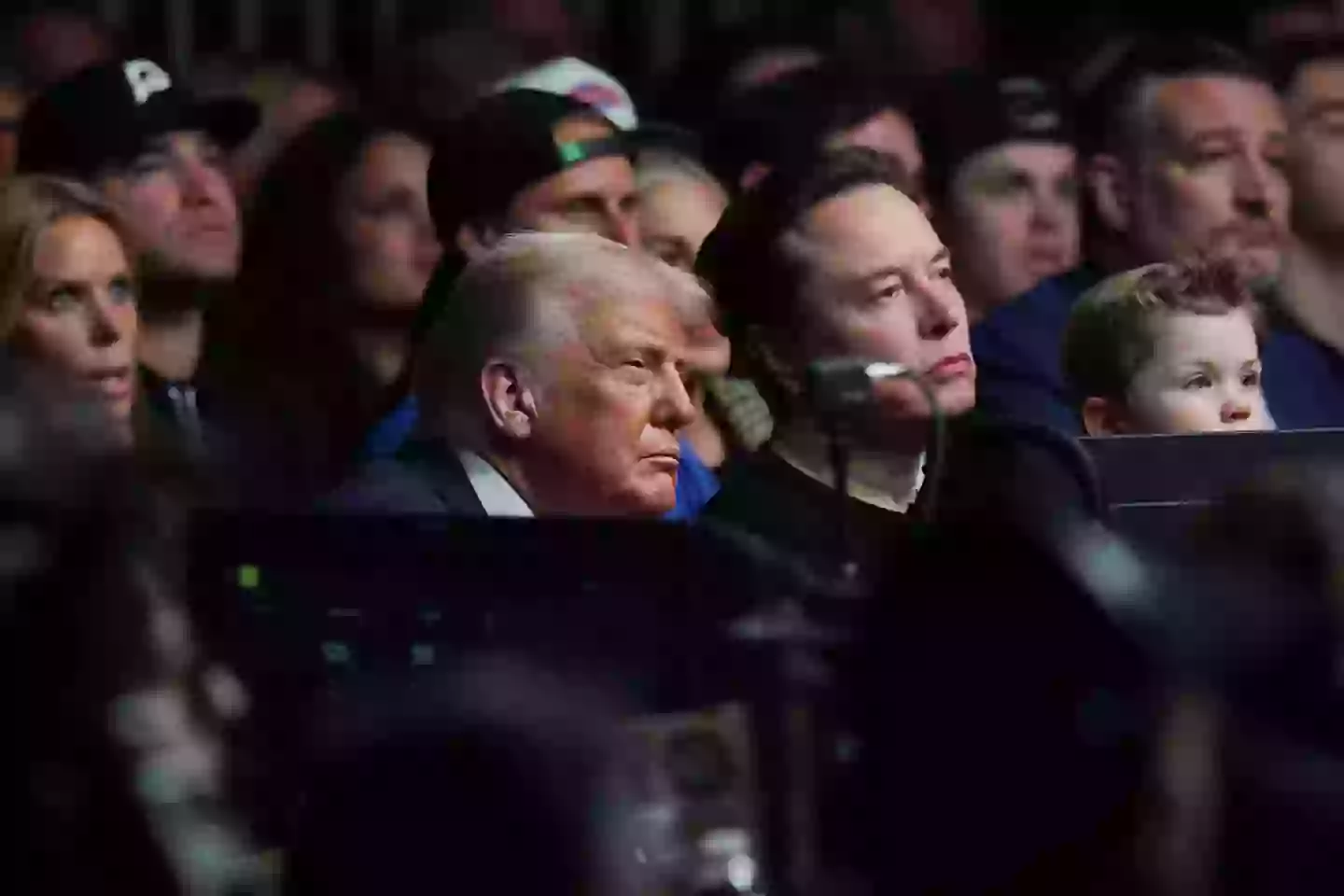 Musk has apparently ducked out of Stewart's challenge (Joe Raedle / Staff / Getty)