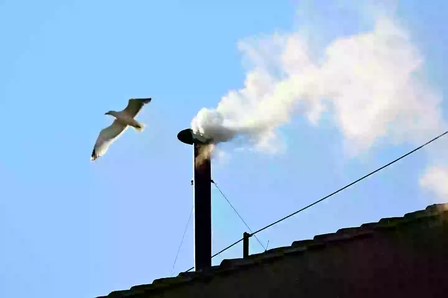 The sight of white smoke from the Sistine Chapel is usually a symbol of hope and unity. (TIZIANA FABI/Contributor/Getty)