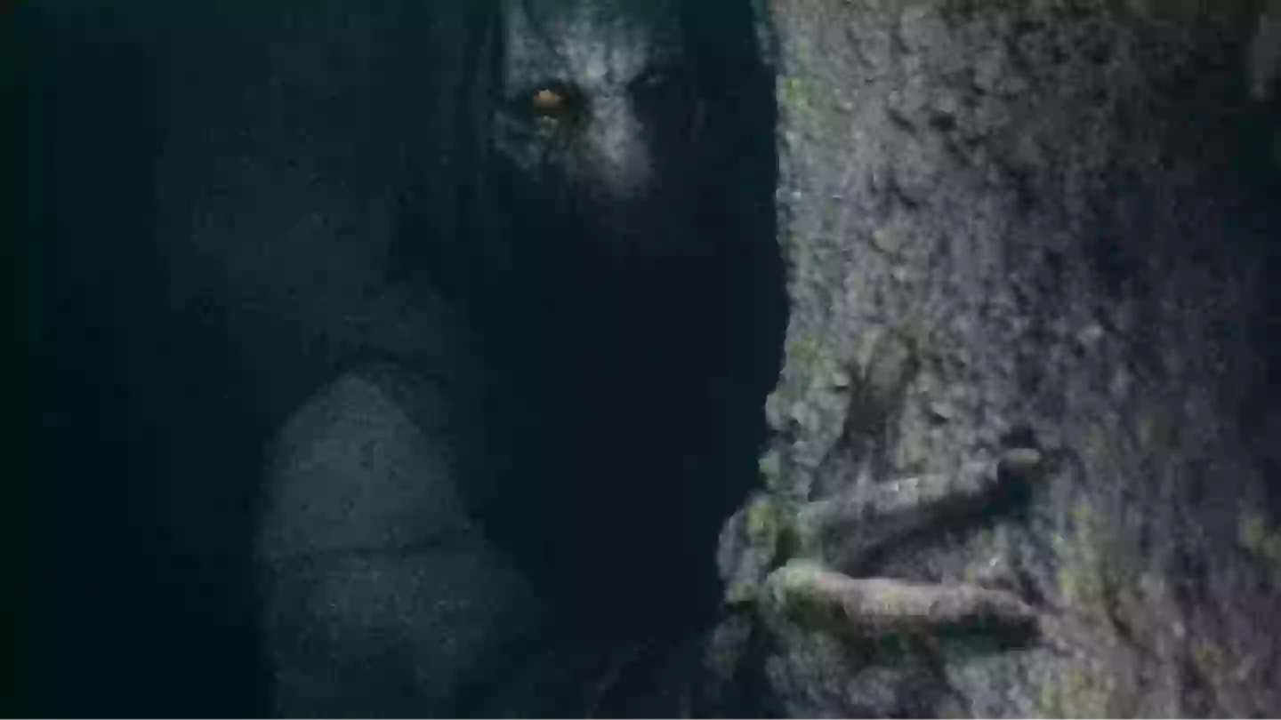 Star Wars fans livid over Darth Plagueis’ true fate