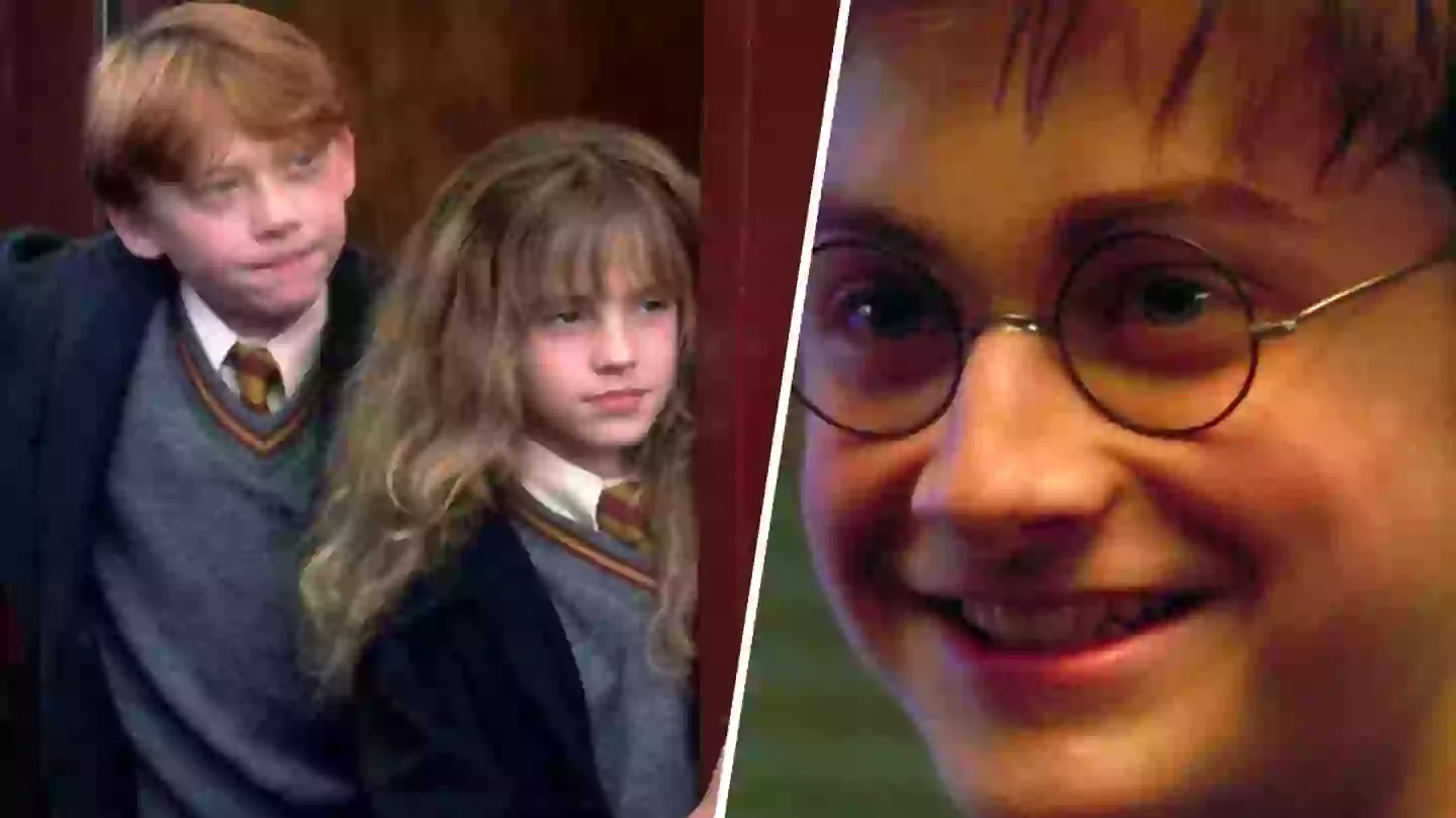 Harry Potter fans unite over ‘perfect’ recast of fan favourite for TV series