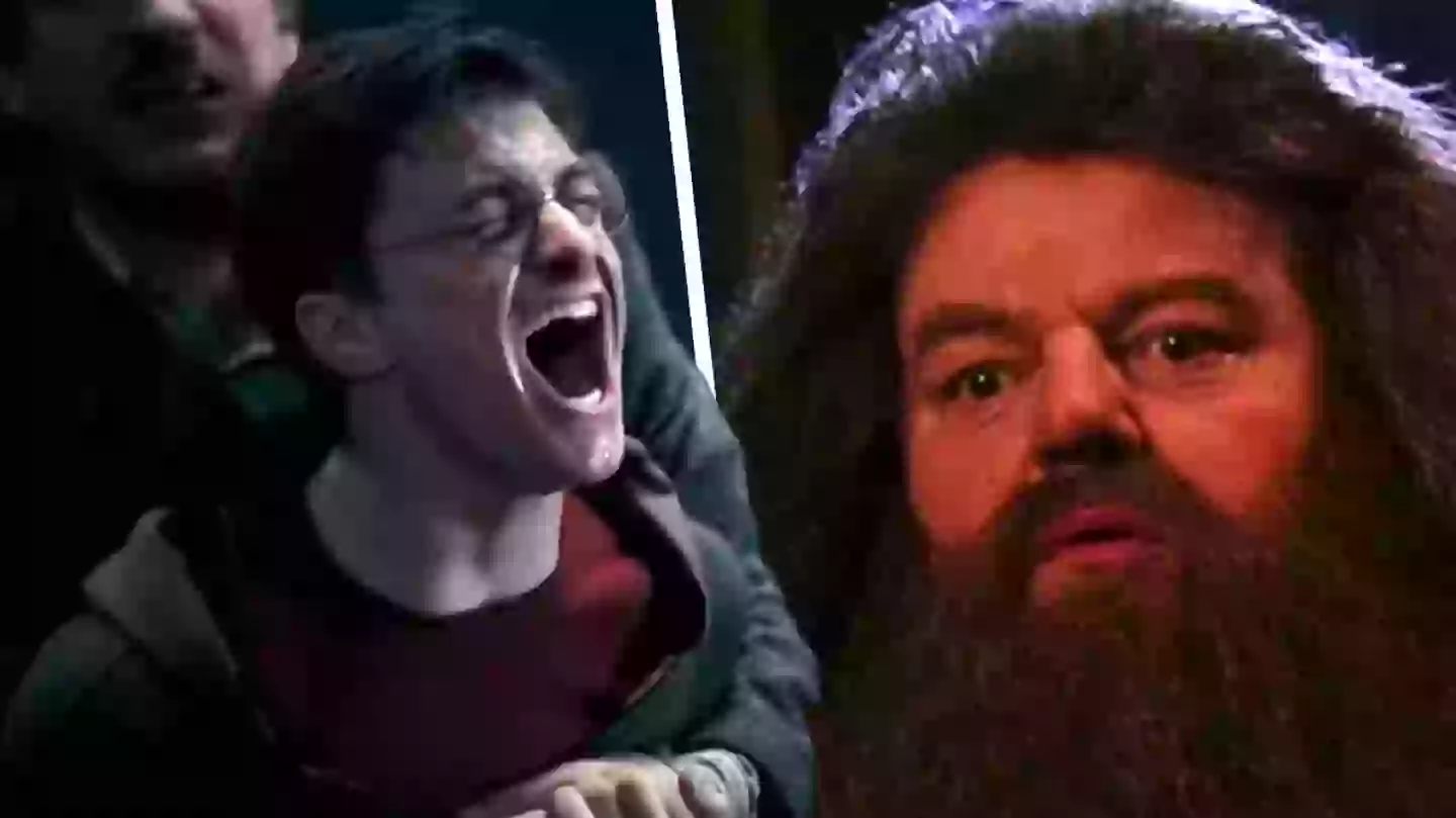 Universal Studios Harry Potter Attraction Indefinitely Closed, Park Confirms